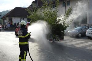Osrednja tema povorke na 32. Čebelarskem prazniku gozd in čebelarjenje 5